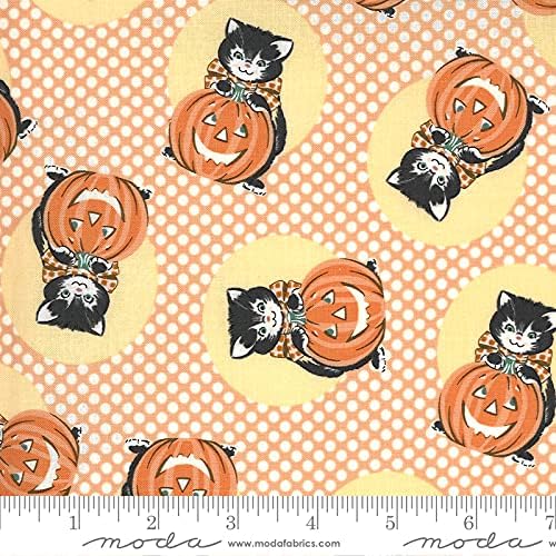 Kitty Kukorica Városi Chiks Szüreti Halloween Szövet Moda Szövet Macskák Sütőtök Cukorka Pókok 8 Kövér Negyedévben Csomag